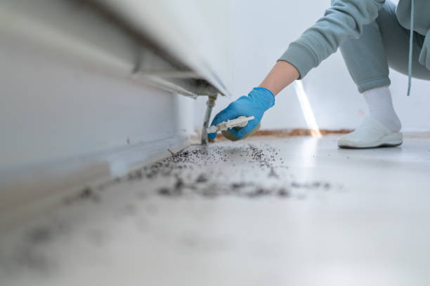 Trusted Roanoke, IL Pest Control Experts